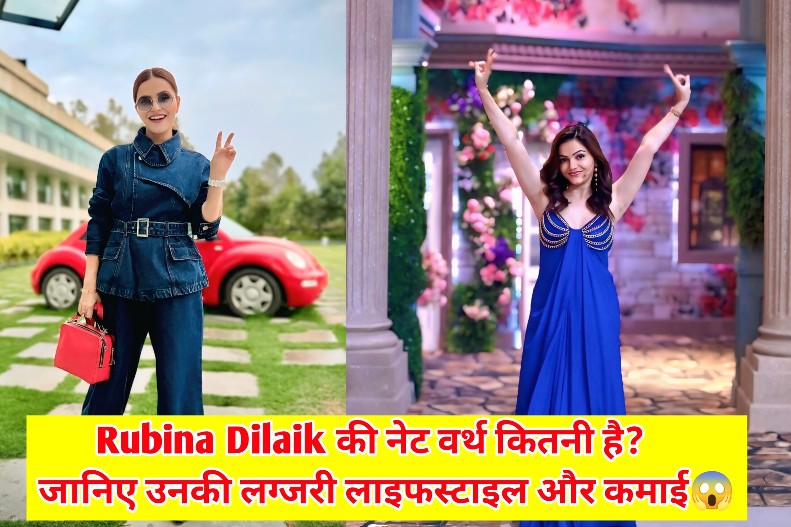 Rubina Dilaik Net Worth